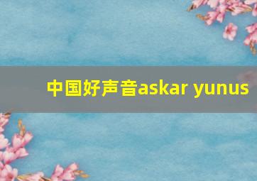 中国好声音askar yunus